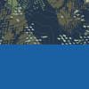 Navy Elevation/Royal