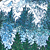 image showing Coloroption Woodland