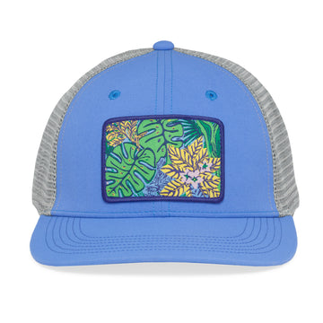 #color_tropical flora